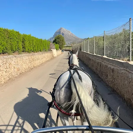 Luxury Living Appartamento *